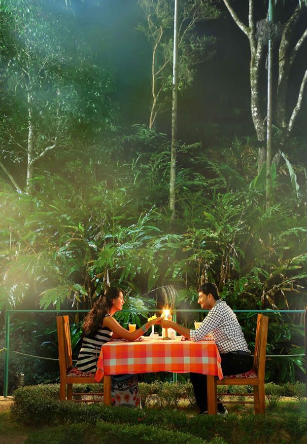 Eagle Mountain Munnar Bed & Breakfast Екстериор снимка
